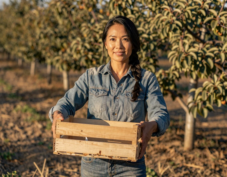 Asian-American orchard farmer at golden hour holding a harvest crate - Asian farmers dating community